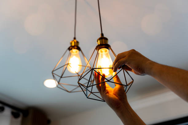Best Industrial Electrical Services  in Lake St Croix Beach, MN